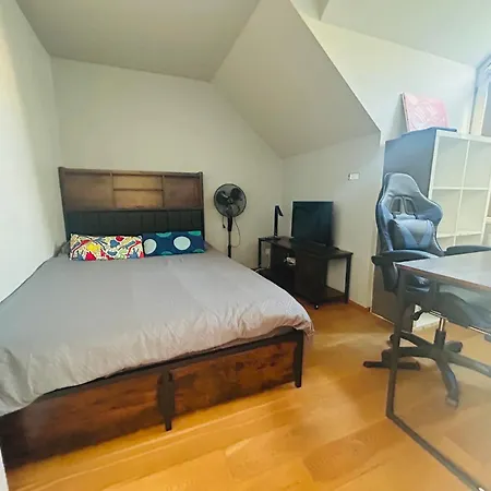 Perfect For Hockey World Cup Fans! Apartment *